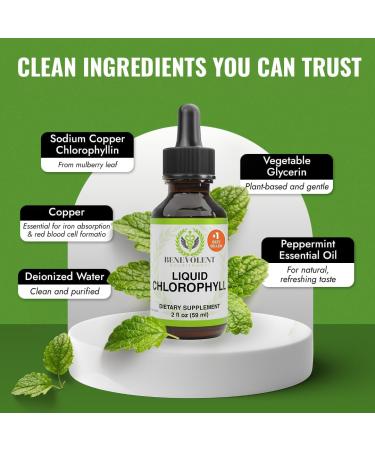 Chlorophyll Liquid Drops - Energy Boost & Immune Support | Internal Deodorant | Altitude Sickness Relief | Premium Quality Natural Formula | Minty Taste | 2X Absorption - Buy Online on GoSupps.com