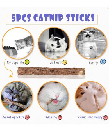 Shop Mqian 25 PCs Cat Toys Set - Fun Kitten Mouse & Variety Pack with Balls & Feathers for Happy Cats - Buy Online on GoSupps.com