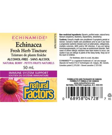 Echinacea Alcohol-Free Fresh Herb Tincture Natural Berry ECHINAMIDE - Buy Online on GoSupps.com
