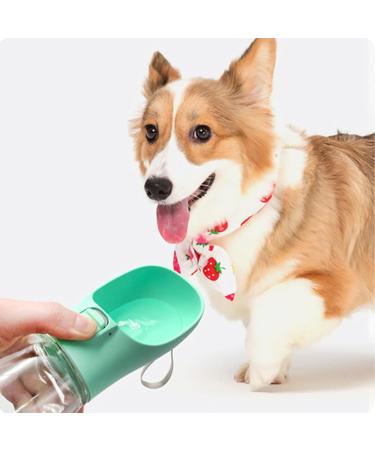 Frasheng 550ml Portable Dog Water Bottle - On-the-Go Hydration for Pets | Perfect for Dogs & Cats - Buy Online on GoSupps.com