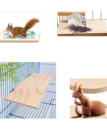 Buy Durable Wood Platform for Pets | 13x28 cm Squirrel & Hamster Stand | Ideal Parrot Cage Wooden Stand - Buy Online on GoSupps.com
