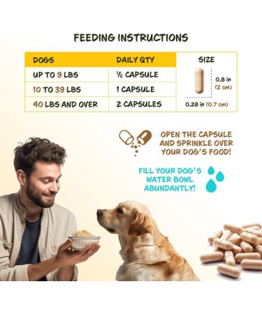 Medsmehappy FiberSyl Ovatasyl Prebiotics for Dogs Digestive Health - 60 Capsules - Buy Online on GoSupps.com
