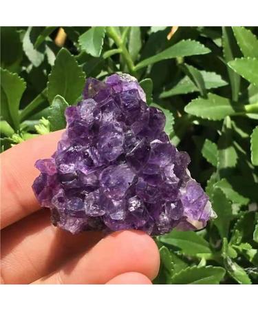 1Pcs Natural Uruguay Amethyst Cluster Home Decoration Purple Crystal Stone Specimens Cluster Decor Uruguay Cluster 20-30 Reiki Crystal Stone (Color : Uruguay Cluster Size : 30-40g) 30-40g Uruguay Cluster - Buy Online on GoSupps.com