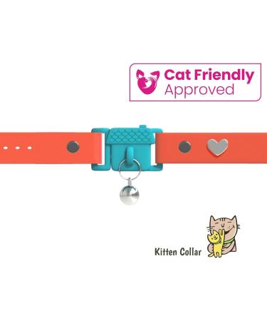 Shop Kittyrama Cats & Kittens Neck Bands - Vogue Featured Vet Approved Breakaway & Hypoallergenic Styles in Tangerine & More! - Buy Online on GoSupps.com