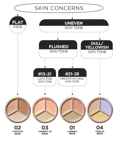 THE SAEM Cover Perfection Triple Pot Concealer - Correct Beige - Buy Online on GoSupps.com