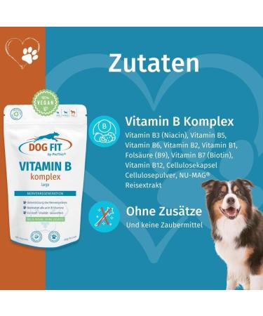 Dog Fit by Prethis - Vegan B Vitamin Complex for Dogs | Nerve Strengthening Incontinence & Nervousness Support | Large Animals (25kg+) - Buy Online on GoSupps.com