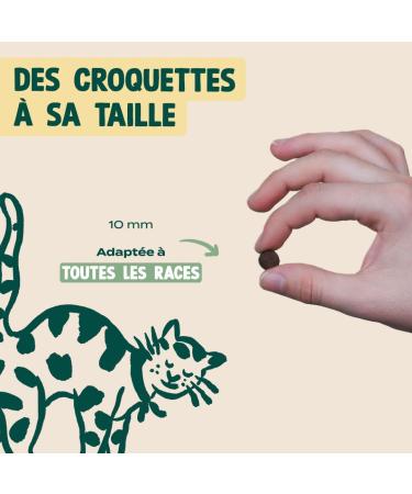 Franklin Sterilized Cat Food Wellness Range with 70% Salmon Grain Free Hypoallergenic Skin and Coat Size 10mm 3 kg - Buy Online on GoSupps.com