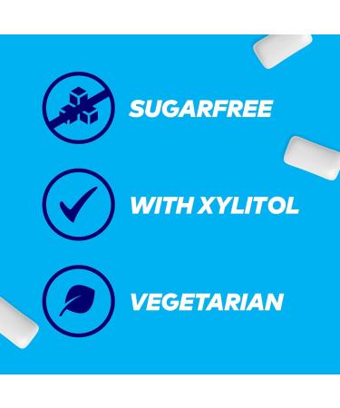 Mars Extra Peppermint Chewing Gum - White - Bottle - 46 Pieces - Buy Online on GoSupps.com