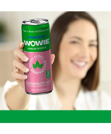 Wowie Hemp Infused Calming Sparkling Beverage Variety Pack 12 oz - Herbal Adaptogens, All Natural, Low Calorie, Non Alcoholic - Pack of 12 - Buy Online on GoSupps.com