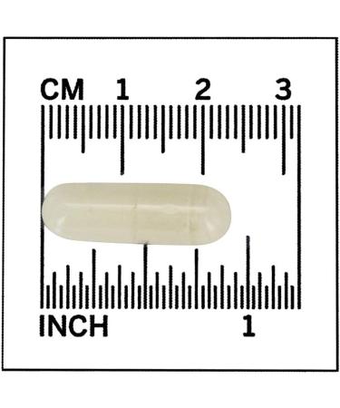 Now Foods Phase 2 Starch Neutralizer 500mg - 120 Veg Capsules - Buy Online on GoSupps.com