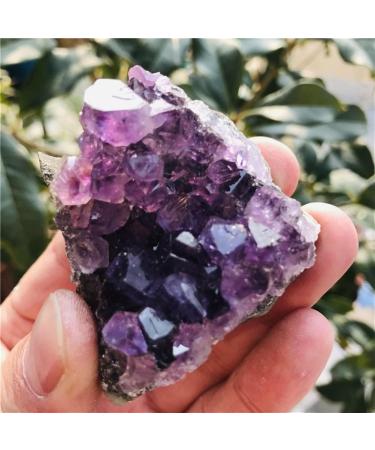 Natural Amethyst Cluster Quartz Crystal geode Specimen Suitable for Home HOMEZHOU (Size : 160-190g) - Buy Online on GoSupps.com