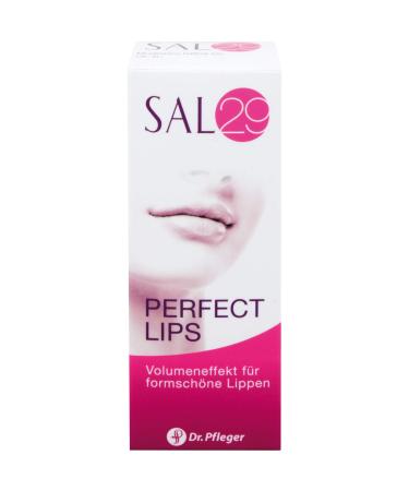 Sal 29 Perfect Lips 4g