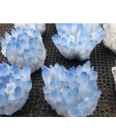 300g-450g Natural Blue Phantom Ghost Quartz Cluster for Decoration 1pc Can be Used for (Color : 1PC) HOMEZHOU - Buy Online on GoSupps.com
