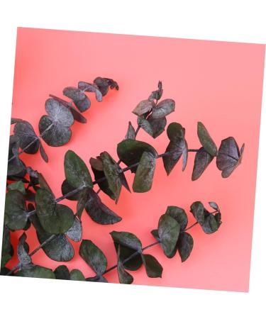 Zerodeko 10pcs Flower Plants Wedding Bouquets Eucalyptus Branches Naturales Faux Eucalyptuses Faux Eucalyptus Leaves Eucalyptus Tree Leaves Fake Eucalyptus Christmas Decorations - Buy Online on GoSupps.com