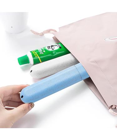 Ilamvie Portable Toothbrush Set - 2 Travel Brushes & Protective Case - Ideal for Families & Travel - Buy Online on GoSupps.com