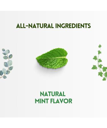 Herbion Naturals Cough Drops - Natural Mint Flavor - Soothes Sore Throat & Dry Mouth - 6 Packs (108 Lozenges) for Adults & Kids 6+ - International Shipping Available - Buy Online on GoSupps.com