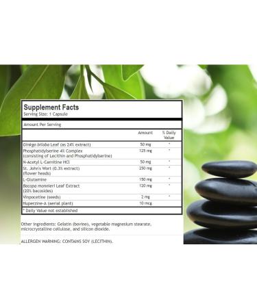 Neuro Zest - Premium Blend Brain Supplement and Nootropic Vitamin Formula to Support Plasticity Boost Healthy Focus and Concentration Levels Brain Function Enhancement Booster and Alpha Cognitive Peformance Factors. Physician-Formulated To Combat Brain Fo - Buy Online on GoSupps.com