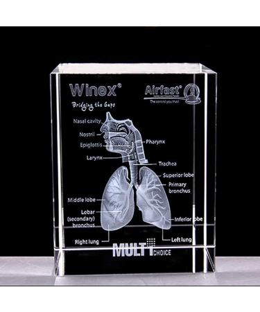Model of The Human Respiratory System 3D Carved Crystal Medical aids - Buy Online on GoSupps.com