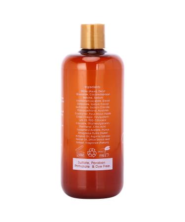 Rachelle Parker Parker Apple Cider Vinegar 2 in 1 Shampoo and Conditioner for Damaged Hair. 26.5 Fl Oz Pack Of 2 - Buy Online on GoSupps.com