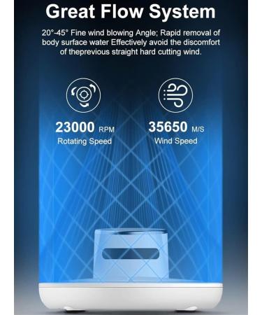 WEVRMQDY LXINDM Body Dryer Negative Ion Full Body Dryer with 2 Gears Adjustment Quick Air Drying Heating and Cooling Gravity Sensing Can Be Used at Home and Bathroom - Buy Online on GoSupps.com