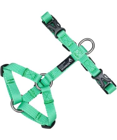 Adjustable Green Cat Dish - Excellent Elite Spanker for Small to Large Kittens | No Pull Pet Dishes - International Shipping Available - Buy Online on GoSupps.com