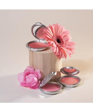 T. LeClerc Rose Sablee Powder Blush - Professional All-Day Wear Flush of Pink Color for Natural & Smooth Cheeks - Buy Online on GoSupps.com