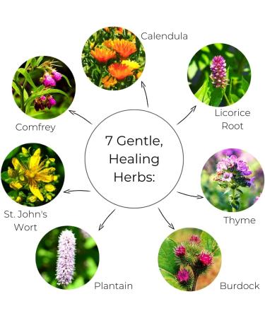 Ora's Amazing Herbal Touchy Skin Salve 4 oz - Eczema Treatment for Kids and Adults with Calendula, Coconut Oil - Itch Relief Cream for Dermatitis, Dry Hands - Natural Hand Mask Balm and Ointment - Buy Online on GoSupps.com
