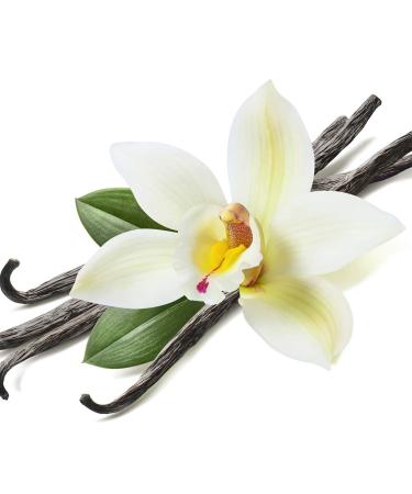 Big Island Vanilla Lotion 8.5oz - Organic Vegan Skincare from Hawaii | Buy Internationally - Buy Online on GoSupps.com