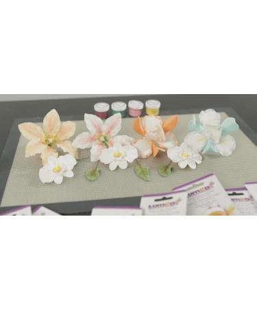 Decorative Magic24 Lavender Purple Food Color Powder - Fat-Soluble 2-4g Can for Fondant & Marzipan | Baking Accessories & Cake Decoration - Buy Online on GoSupps.com