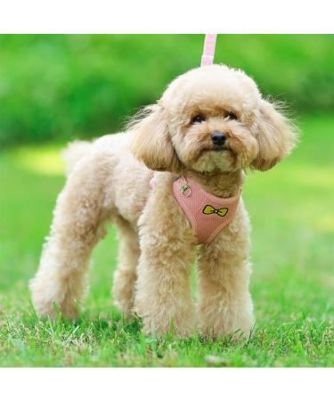 Katmerio Adjustable Cat Dishes | Premium Cat Linen with Leash for International Shipping - Buy Online on GoSupps.com