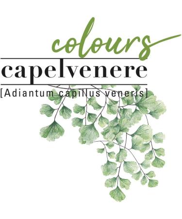 Helan Maidenhair Colours 7.1 Ash blonde Permanent hair dye ammonia-free - Buy Online on GoSupps.com