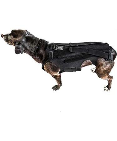 Back Bracer for IVDD in Dogs Dog Back Brace for Dogs Arthritis Spinal Surgical Recovery Herniated Disc Slipped Disc Rehabilitation Adjustable Back Support Back Protector (L) - Buy Online on GoSupps.com