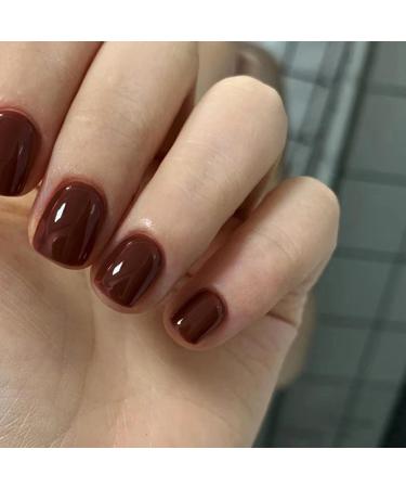DMQ Square False Nails Short 24Pcs Red Brown Fake Nails Autumn Winter Press on Nails Glossy Full Cover Stick on Nails with Glue French Nail Tips for Women Girls Nails Art Red Brown Short
