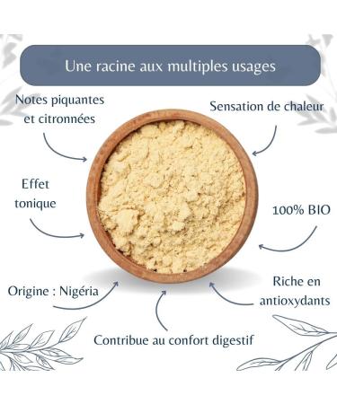 Gingembre Bio en Poudre en Vrac - Infusion et Tisane Digestion et Bien- tre - Zingiber Officinale Roscoe - Agriculture Biologique - Conditionn en France - Sachet de 100g (50 Tasses) 100 g (Lot de 1) - Buy Online on GoSupps.com