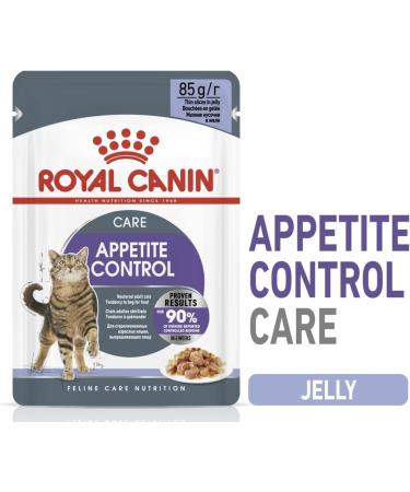 Royal Canin Appetite Control in Jelly Wet Adult Cat Food (48 x 85g) - Buy Online on GoSupps.com