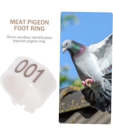Levemolo 100 Pcs Pigeon Anklet African Grey Parrot Leg Ring Charms Plastic Poultry Pen Drumstick White 1.3X1.3CM White - Buy Online on GoSupps.com