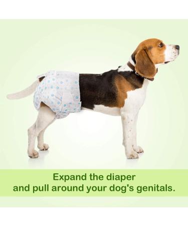 PET Soft Disposable Dog Diapers for Bitches - 36 Pieces | High-Suction Incontinence & Heat Diapers for Cats & Dogs (Size M) - Buy Online on GoSupps.com