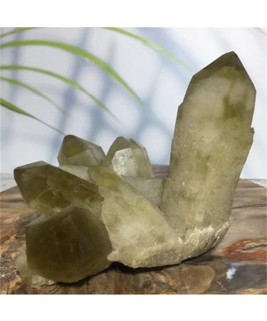Citrine Natural Citrine Natural Crystal Cluster Quartz Specimen Feng Shui Raw Yellow Gem Room Decoration Fashion Collection - Buy Online on GoSupps.com
