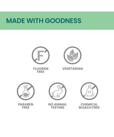 Himalaya Bright White Toothpaste Fluoride Free to Reduce Plaque & Whiten Teeth 6.17 oz Mint 6.17 Ounce (Pack of 1) - Buy Online on GoSupps.com