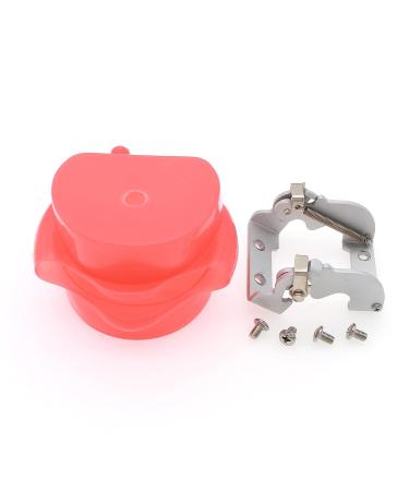 Dental Soft Gum Standad Typodont Study Model with 28 Removable Teeth & Cheeks - Ultimate Dental Training Tool - Buy Online on GoSupps.com