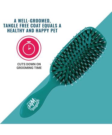 Wet Brush Pet Brush Smooth & Shine Teal - BPET833TEAL - Buy Online on GoSupps.com