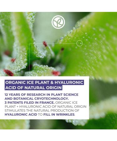 Yves Rocher Filler Vegetal - Plumping Firming and Tightening Face Neck and Neckline cream for Mature and Aging Skin Natural Hyaluronic Acid to improve Collagen production Improves the appearance of sagging skin and Wrinkles- Face Neck D collet Jar 75ml - Buy Online on GoSupps.com