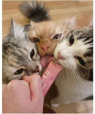 Webbox Cats Delight Lick E Lix Yoghurt with Salmon 5pcs - Buy Online on GoSupps.com