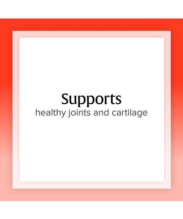 Natural Factors MSM Methyl-Sulfonyl-Methane 1000 mg - 180 Capsules | Joint Support & Anti-Inflammatory - Buy Online on GoSupps.com