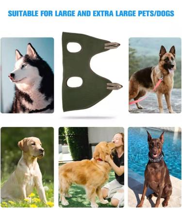 Kkiimatt Pet Care Hammock Harness for Small Dogs - Dog-Hinge Trim Hammock with Nail Clipper & Hooking Mat (XXX-LARGE 63kg Max - Green) | International Shipping - Buy Online on GoSupps.com