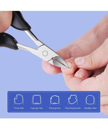 TEAORB Stainless Steel Ingrown Toenail Clippers for Thick & Ingrown Toenails - Professional Pedicure Tool for Adults & Seniors - Buy Online on GoSupps.com
