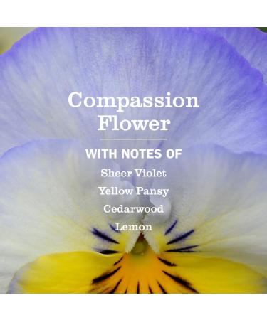 MRS. MEYER'S CLEAN DAY Hand Soap Refill, Made with Essential Oils, Compassion Flower, Packaging May Vary, 33 fl. oz Compassion Flower 33 Fl Oz (Pack of 1) - Buy Online on GoSupps.com