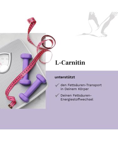 L-Carnitine 2000 mg - 120 Vegan Capsules | Raw Material Carnipure by Lonza | High-Dosed Laboratory Tested Made in Germany - Boost Your Vitality! - Buy Online on GoSupps.com