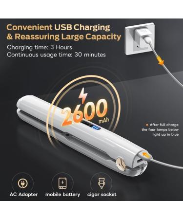 Buy Mini Cordless Hair Straightener & Curler - Portable 2-in-1 Travel Device with Fast Heat Up (30s) USB Rechargeable Adjustable Temp - Pink - Buy Online on GoSupps.com