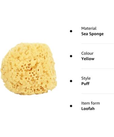 JYTDBCS 2X Large Soft Honeycomb Bath Sponges Bath Sponge Large - Buy Online on GoSupps.com